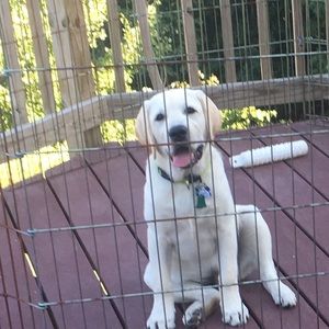 Meet your Posher, Mia